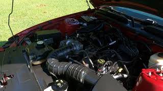 2008 Ford Mustang Convertible 4 0L V6 Vin160640 Burgundy Engine Running [upl. by Aniad]