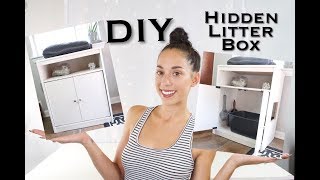 DIY HIDDEN CAT LITTER BOX INEXPENSIVE [upl. by Ahkihs]