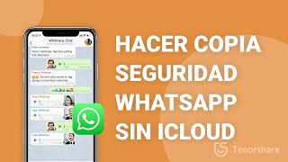 Cómo hacer copia de seguridad de WhatsApp sin iCloud [upl. by Ecnal]