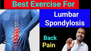 Best Exercise For Lumbar Spondylosis । Back pain Relief Exercise । Backpain painhealeravijit [upl. by Liek]