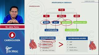 2024 CARDIOLOGÍA Insuficiencia cardiaca Aspectos generales [upl. by Stempson353]