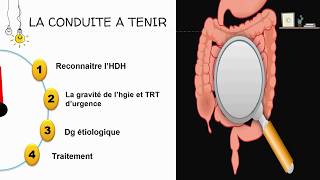 CAT hémorragie digestive haute 🤮  HépatoGastroEntérologie [upl. by Amaryllis]