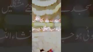 Sajde Lambay kijeay  INSHAALLAH  Like Share amp Subscribe [upl. by Mcintosh302]