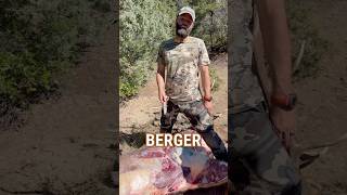 Berger Performance on BIG BULL ELK Shorts elk elkHunting [upl. by Ludovico455]