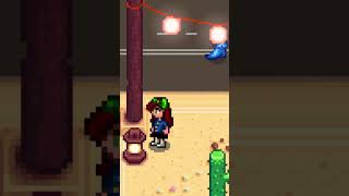 How to find the TRICORN HAT during the DESERT FESTIVAL in stardewvalley shorts gaming [upl. by Vasily856]