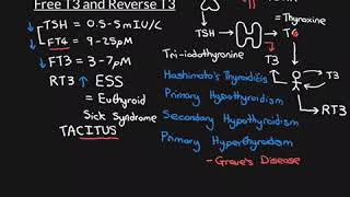 Free T3 and Reverse T3 Part 2 [upl. by Millicent]