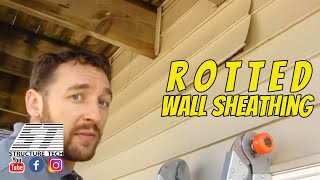 Rotted Wall Sheathing [upl. by Demmer884]