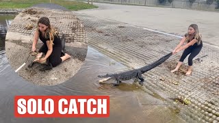 BAREFOOT GATOR RESCUE 5 foot girl catches 7 foot gator [upl. by Hach]