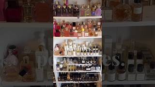 WHY DO I HAVE AROUND 800 PERFUMES perfumeshorts fragrance [upl. by Ihculo478]