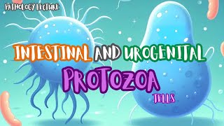 Intestinal and Urogenital Protozoa Scenario Tells [upl. by Cordalia]