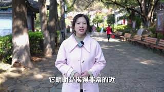 来云南吧，感受这美丽的天气 旅行推荐官 旅游大玩家 [upl. by Sarson298]