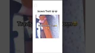 Scavis trott [upl. by Ydasahc]