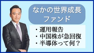 【10月運用部セミナー①】なかの世界成長ファンドのアップデート｜中国株回復の要因｜半導体をわかりやすく解説 [upl. by Eannaj]