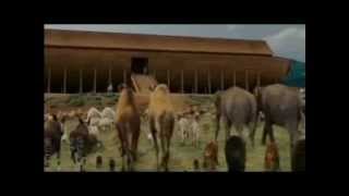 Noahs Ark Drama film [upl. by Acinoryt]