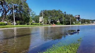 Flooding woes remain in Apopka days after Hurricane Milton [upl. by Kcin]