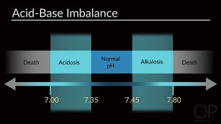 Interpreting Arterial Blood Gases ABGs by M Greenlee  OPENPediatrics [upl. by Walton]