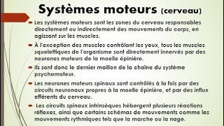 N°13Systèmes moteurs Collection vocabulaire Cerveau [upl. by Nodnek]