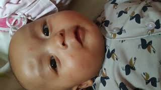 klemens theodore panjaitan 18 maret 2024 [upl. by Melisande]