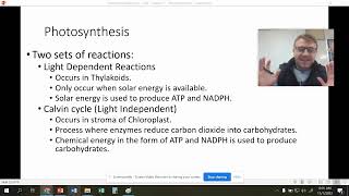 AP  Chapter 7  Photosynthesis [upl. by Gerrilee]