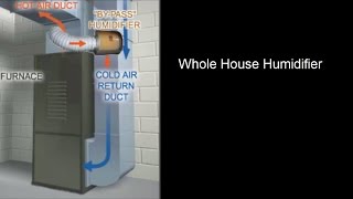 Why Worry About Humidity Use a Whole House Humidifier [upl. by Torray]