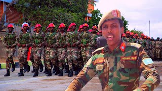 DAAWO Ciidanka Xooga Somalia Hanaga Baxaan Ciidamada Shisheeye Anagaa Amniga Dalka Ku Filan [upl. by Ettennyl624]