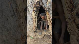 Amazing living room in the big Baobab tree ‼️shorts [upl. by Elsi]