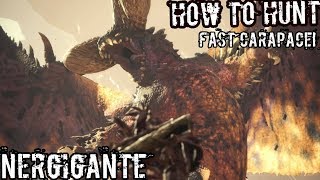 How to hunt a Nergigante FAST NERGI CARAPACE Coop [upl. by Labina780]