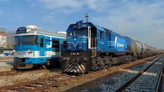 Croatian Diesel Trains Vlakovi u Osijeku 5 [upl. by Owiat]