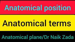 anatomical positionanatomical position and directional terms anatomical position and terms in urdu [upl. by Koss601]