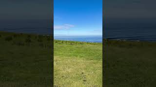 Dunstanburgh Castle shorts [upl. by Euginimod]