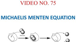 Michaelis Menten Equation step by step derivation with Enzyme Catalysis [upl. by Enad161]