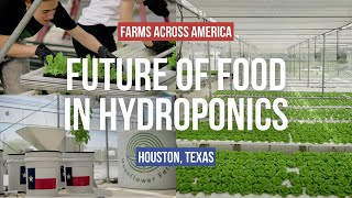 Hydroponic Farming to Feed America  Farms Across America [upl. by Girardi]