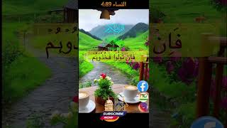 Sura Nisa Ayat 89 AlQuran Surah alNisa Urdu Tafseer and Translation shortvideo [upl. by Gualtiero]