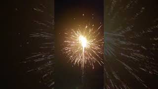 6quot Tiger Force Canister Firework shells by Raccoon With a close call 🤣🤣🤣 [upl. by Deirdre]