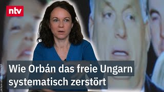 Wie Orbán das freie Ungarn systematisch zerstört  Doku folgt Widerstandskampf  ntv [upl. by Hertzfeld938]