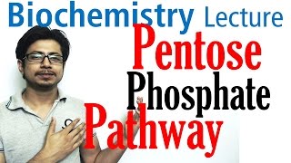 Pentose phosphate pathway [upl. by Aleydis]