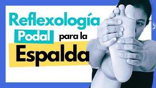 ✅ CÓMO ALIVIAR el DOLOR de ESPALDA con Reflexología podal 🦶 [upl. by Yboj879]