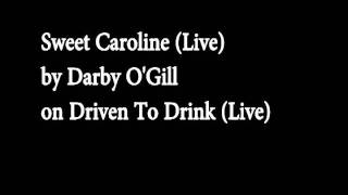 Sweet Caroline Live  Darby OGill [upl. by Eric115]