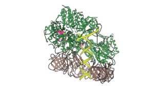 Functional cycle of the clamploader AAA ATPase [upl. by Lapotin]