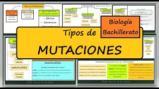 TIPOS DE MUTACIONES Génicas Genómicas Cromosómicas ÁCIDOS NUCLEICOS EVOLUCIÓN BIOLOGÍA [upl. by Emelen]