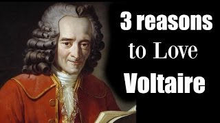 3 Reasons to Love Voltaire [upl. by Ernesta]