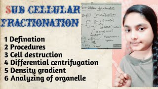 Differential Centrifugation of Cells [upl. by Ennaid]