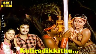 Kuliradikkithu Kuliradikkithu Song  Suresh  Nadhiya  Ilaiyaraja  Tamil Night Love Hits [upl. by Aelanej]