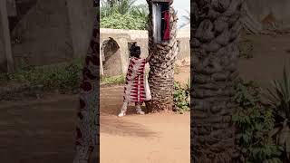 Sango what are doing comedy comedyfilms funny vfxcommunity comedymovies vfx vfxmemes magic [upl. by Reeta]