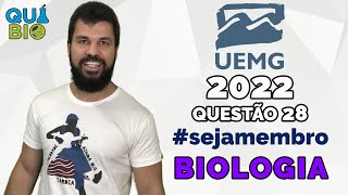 UEMG 2022  Questão 28  Tecidos formadores de vegetais e de animais são massas de células que exerc [upl. by Alahcim325]