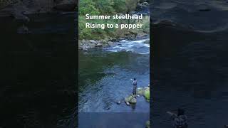 Spey casting dry flies to summer steelhead fishing flyfishing flycasting [upl. by Ellenig613]