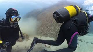 4K 360  Spain  Costa Brava  Tossa de Mar  Scuba Diving [upl. by Semyaj]