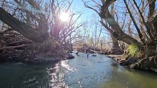 2 minute with Oakley amp Charlie near a creek [upl. by Endys326]