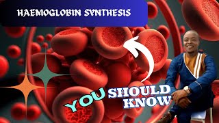 HAEMOGLOBIN SYNTHESIS [upl. by Amyaj]