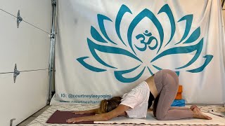 Movement can be like Medicine  A 40 Minute Yoga Flow [upl. by Tai]